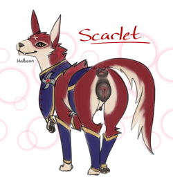 Scarlet the Palamute