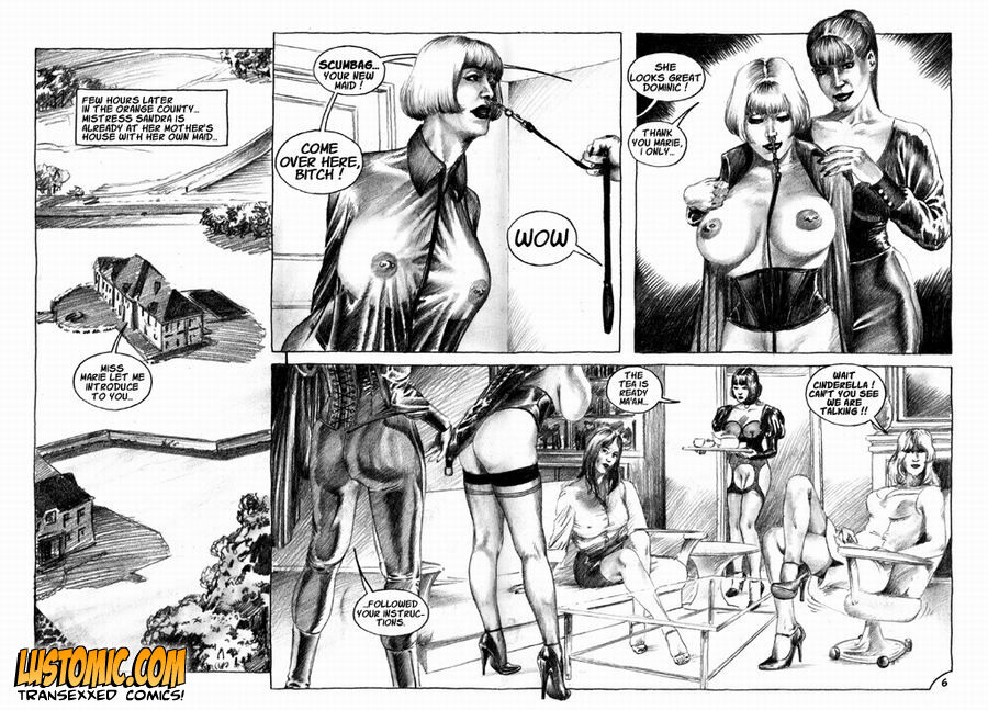 Transfrancisco 03 page 7 full