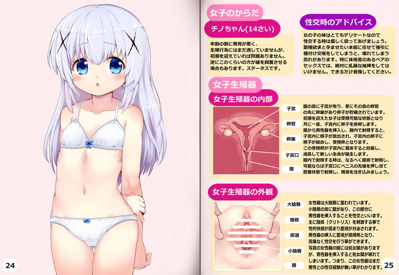 チノちゃんで性教育 page 4 full