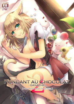 Fondant au Chocolat 2