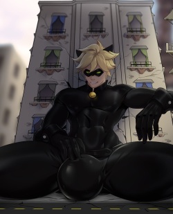 Cat Noir IMHentai