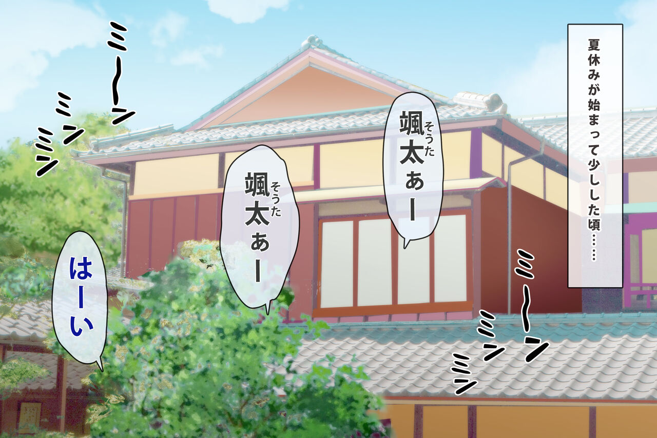 Tokai kara Kita Shinseki no Gyaru no Onee-chan to H na Natsuyasumi page 3 full