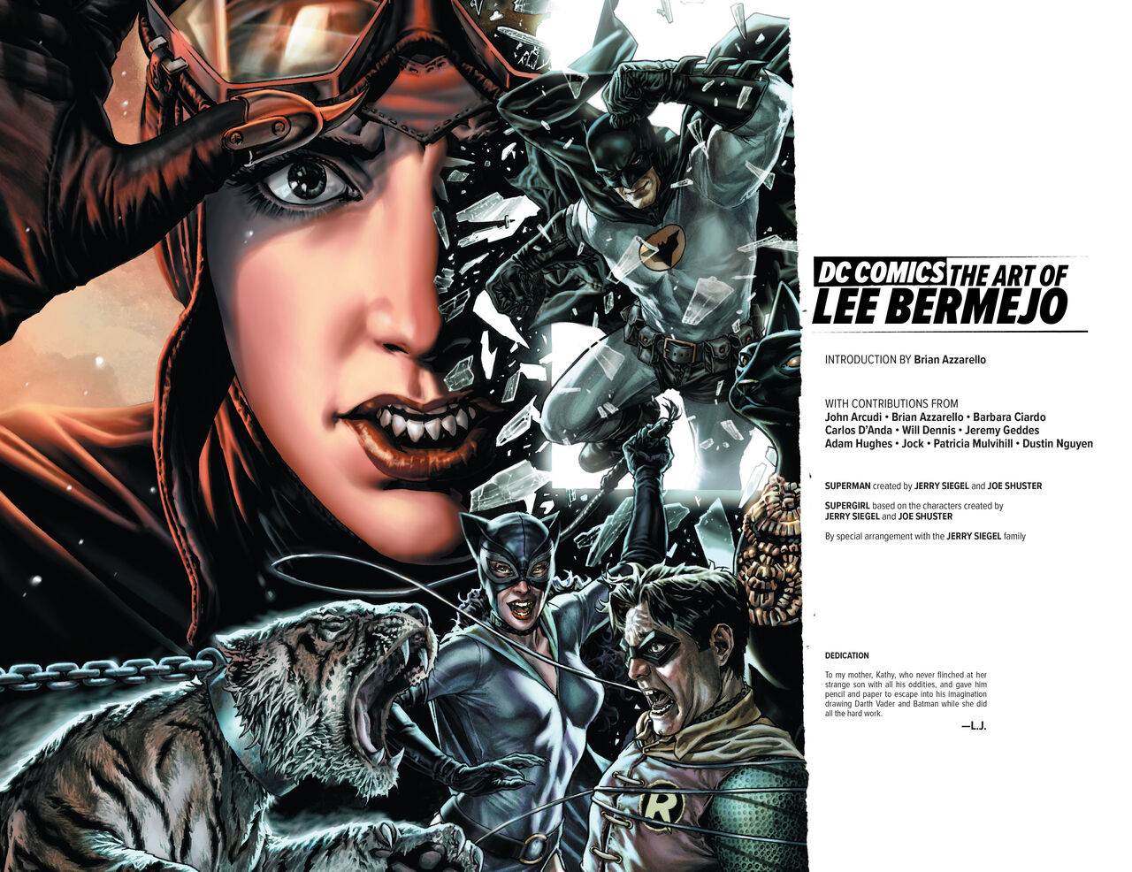 DC Comics - The Art of Lee Bermejo page 5 full