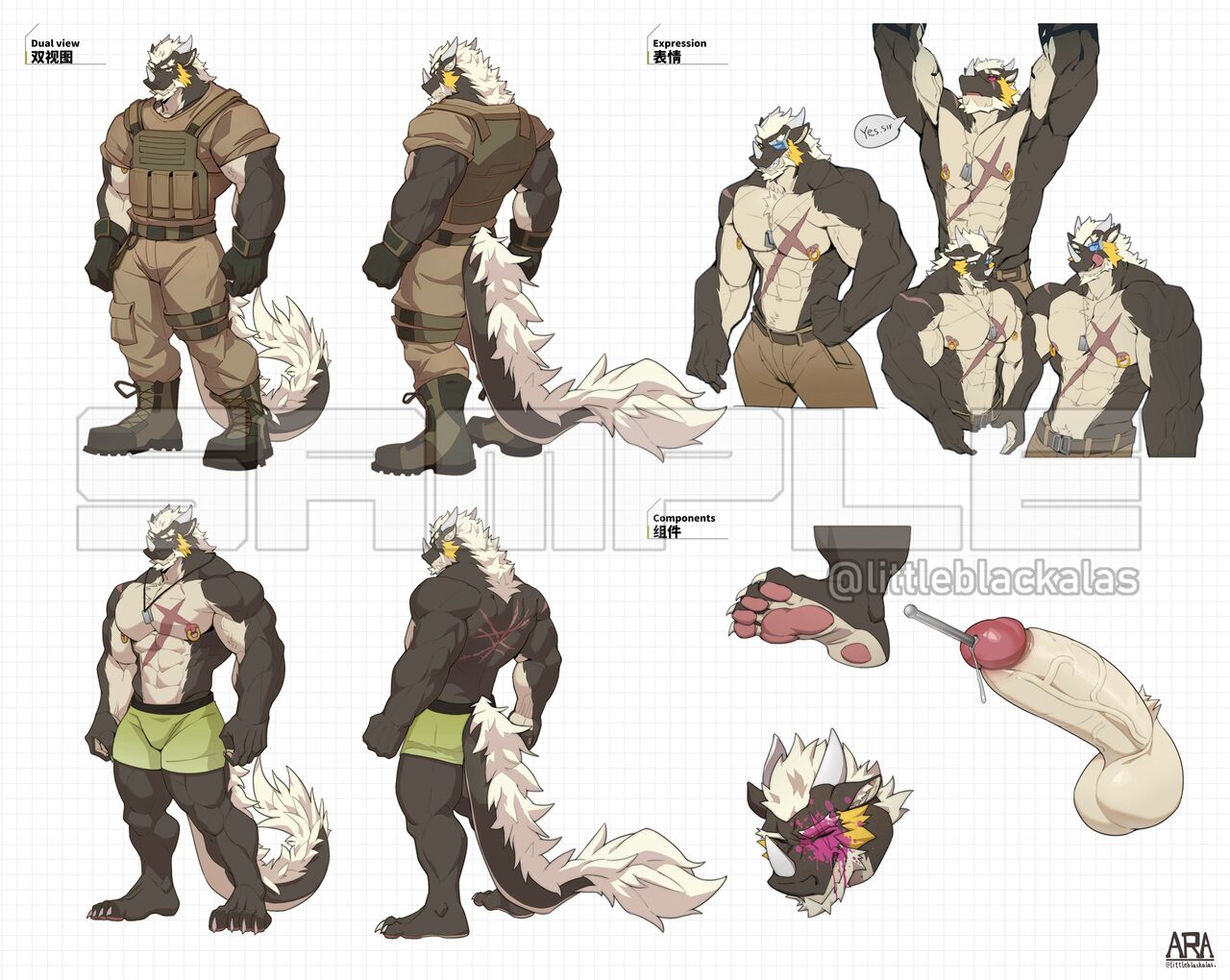  page 3 full