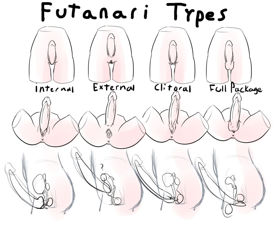 Futanari Anatomy page 1 full