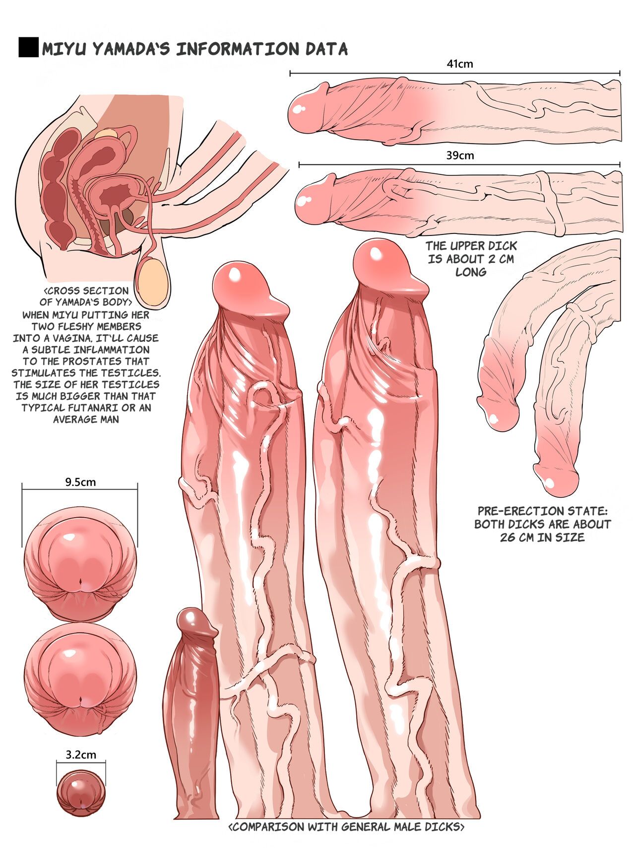 Futanari Anatomy page 5 full