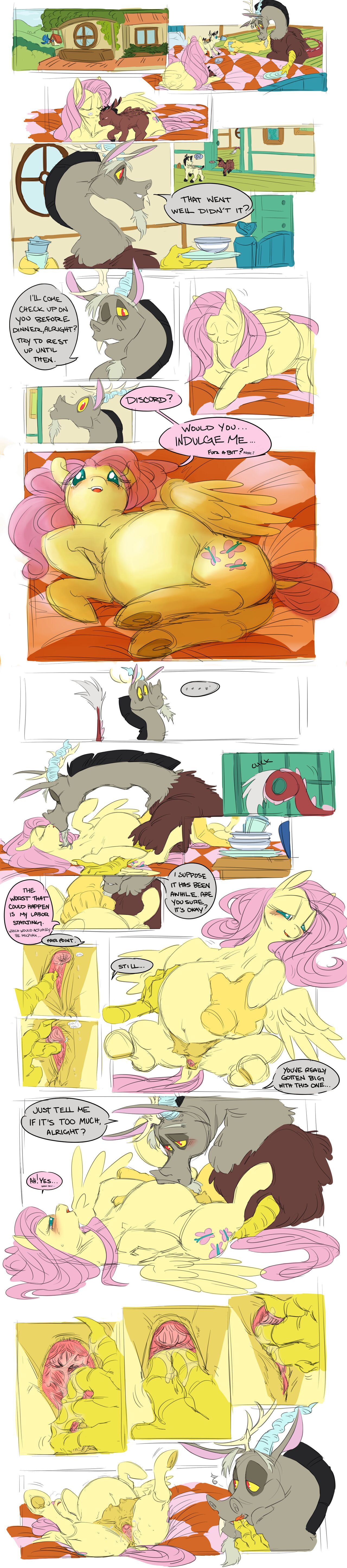 How to care for your pregnant mare page 2 full