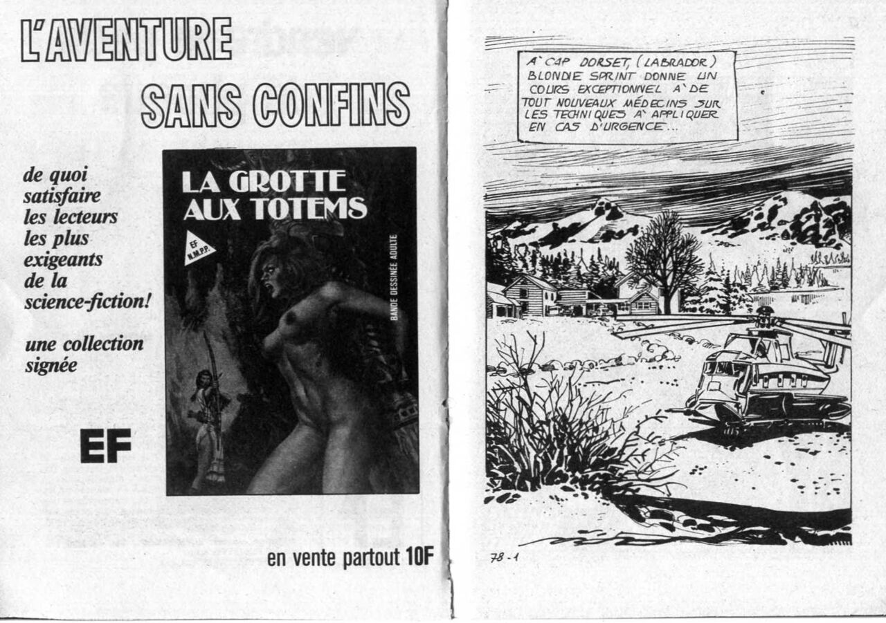 PFA - Elvifrance - Satires #77 Vendre la peau du Phoque - b 20 M de $ pour un jet page 3 full