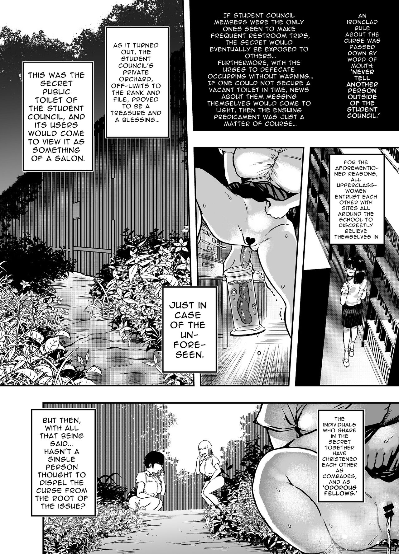 Gyokuzui I | Chalcedony I page 9 full