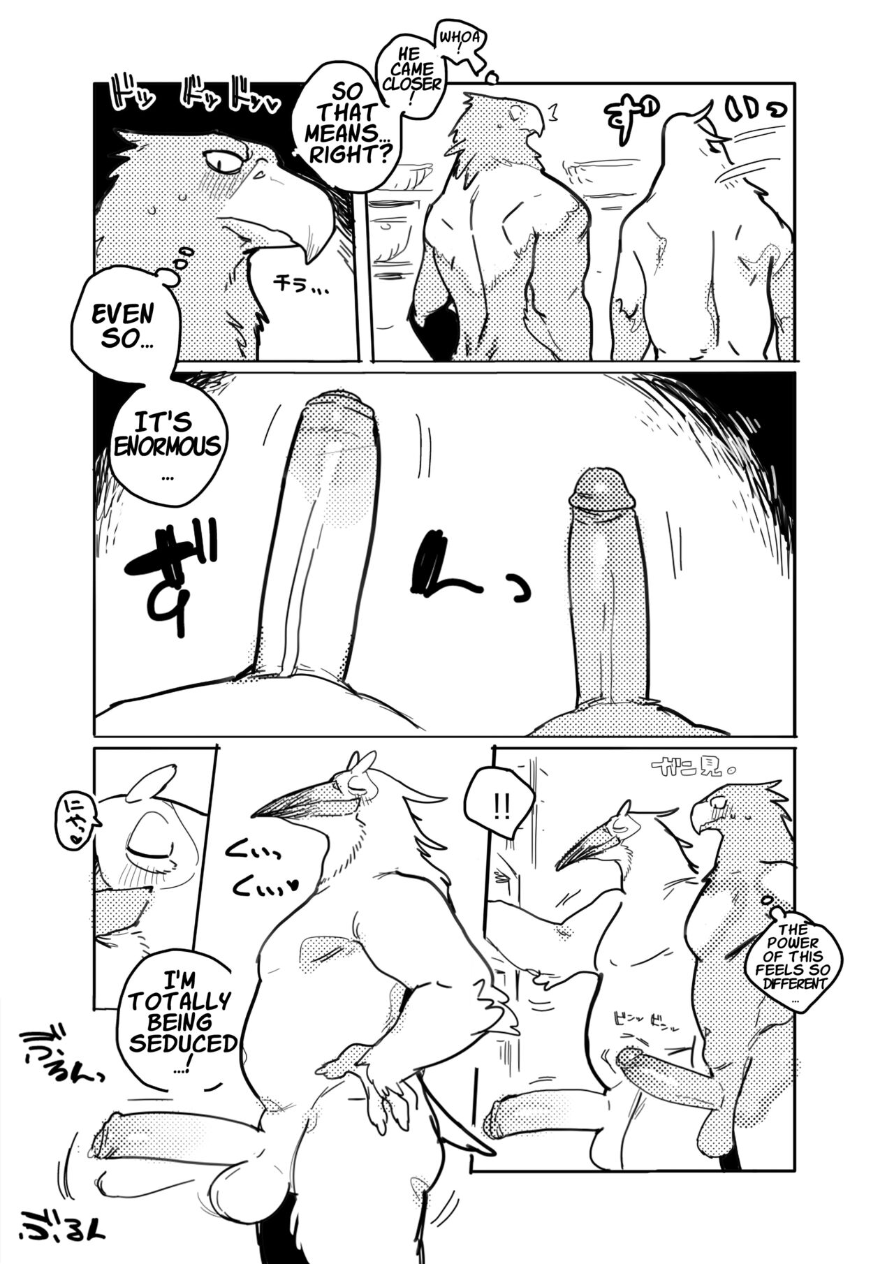 Pelican and White-tailed Eagle page 5 full