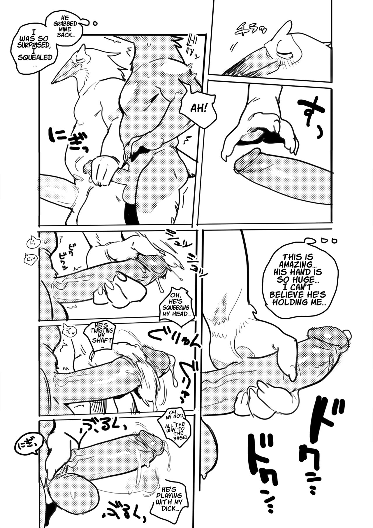 Pelican and White-tailed Eagle page 8 full