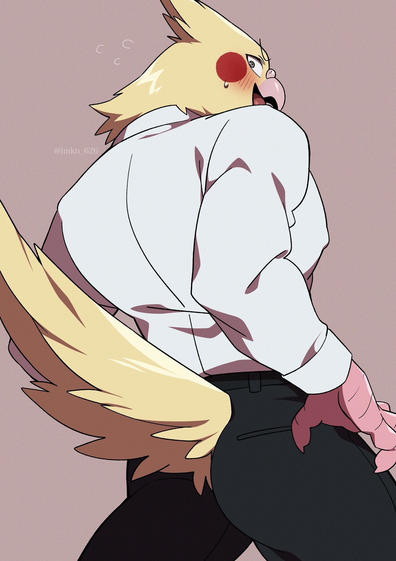 imkn-626 page 2 full