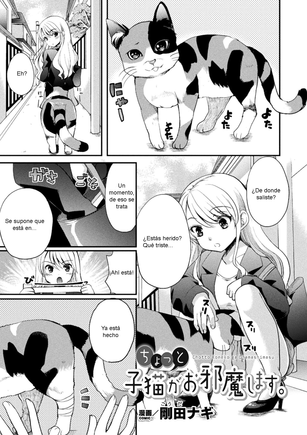 Chotto Koneko ga Ojamashimasu page 1 full