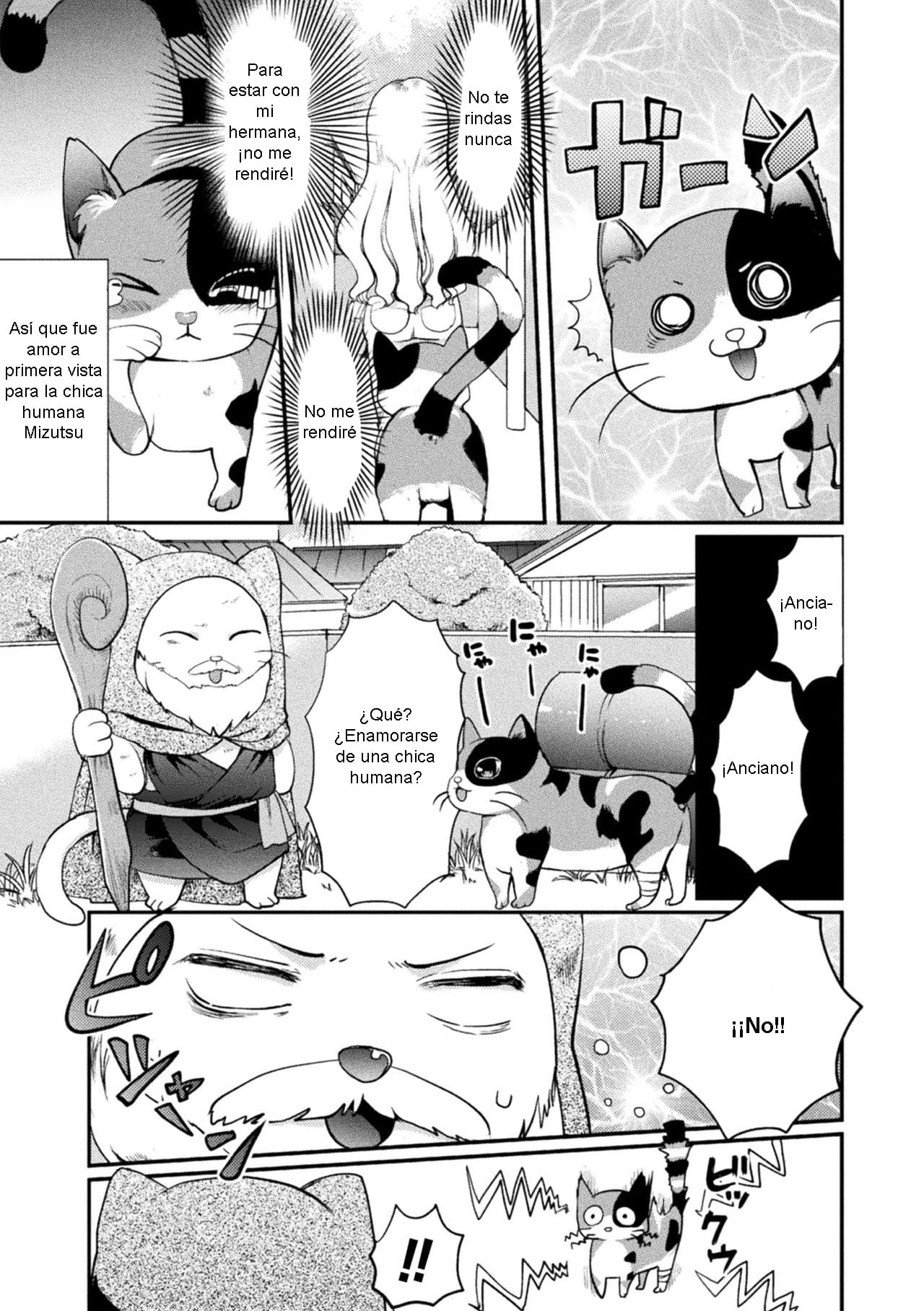 Chotto Koneko ga Ojamashimasu page 3 full