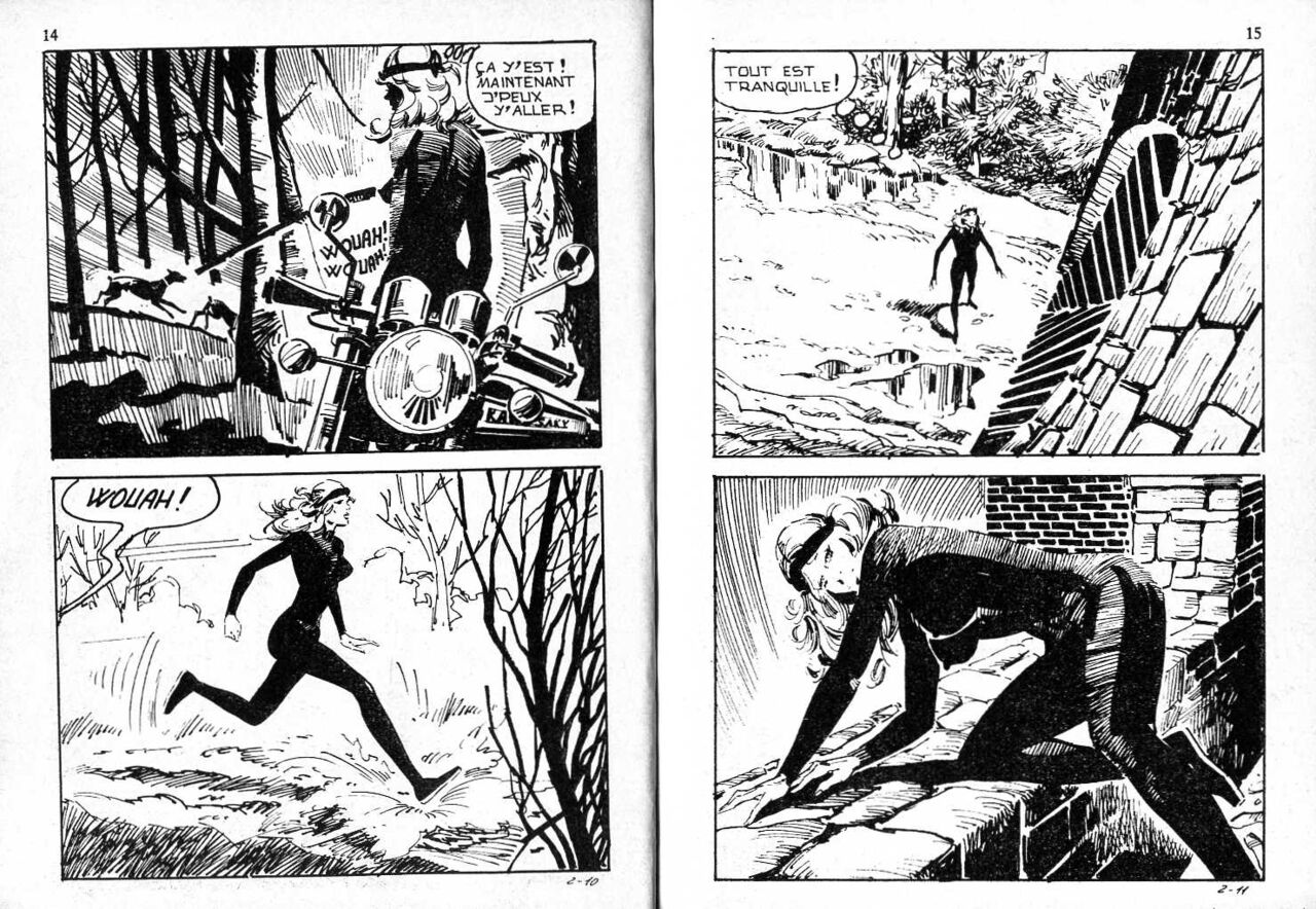 PFA - Elvifrance - Baghera #2 Coup fourré page 8 full