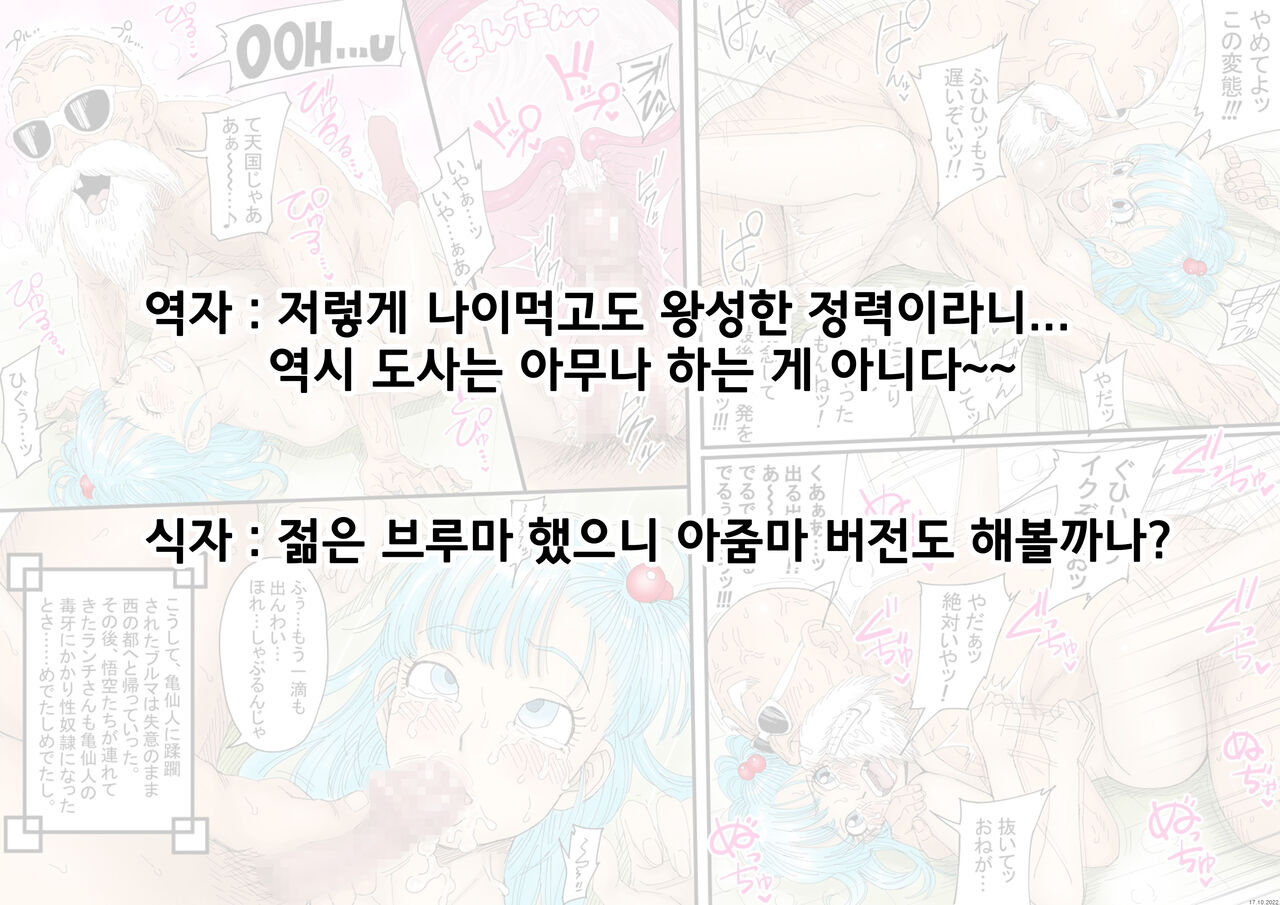 Bulma ✕ Kame-Sennin Last page 6 full
