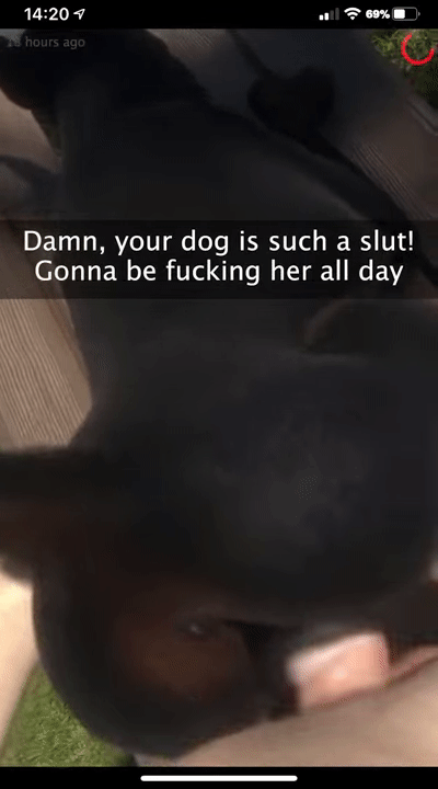 Furjoe0 Impregnating Your Dog page 3 full