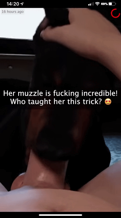 Furjoe0 Impregnating Your Dog page 5 full
