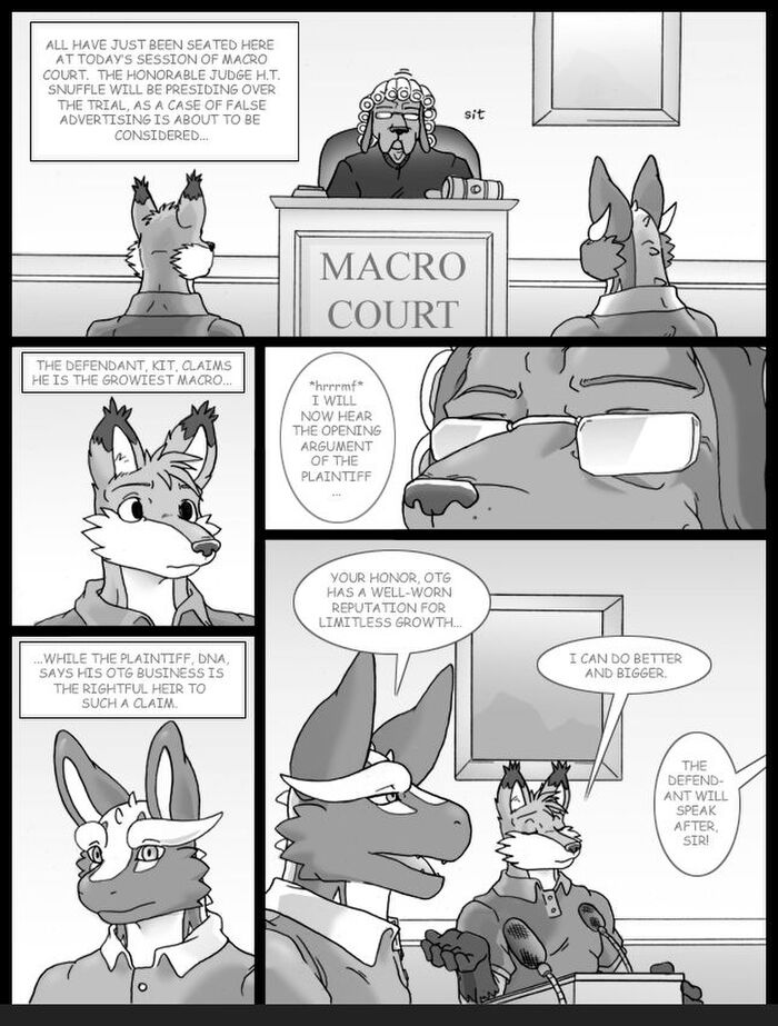 Macro Court page 1 full