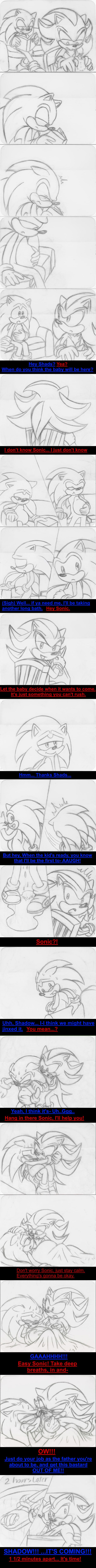 Little Hedgehogs page 1 full
