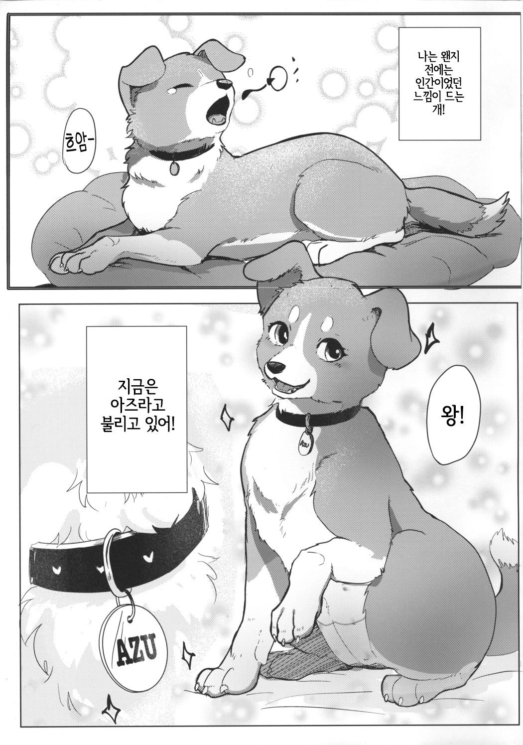 Wanderful! 1 page 2 full