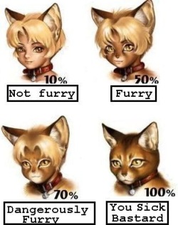 Furry Scale