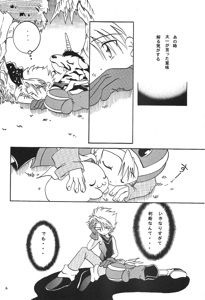 Duca 2.5 page 3 full