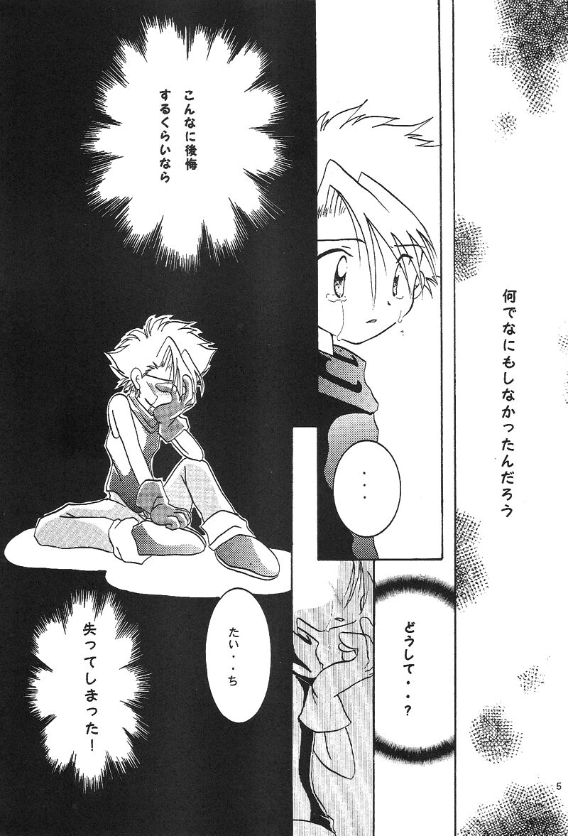 Duca 2.5 page 4 full