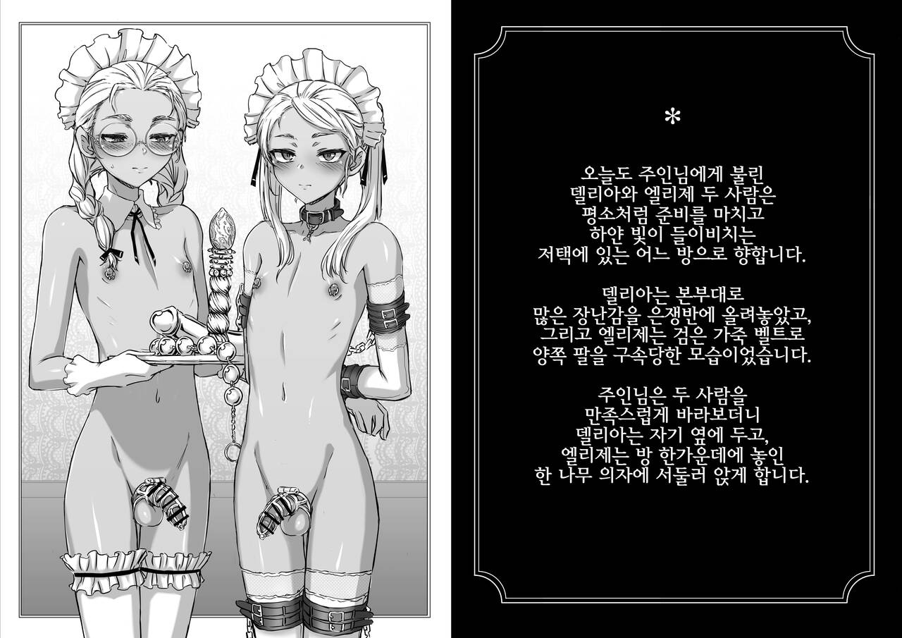 Shounen Ehon "Delia to Elise" page 2 full