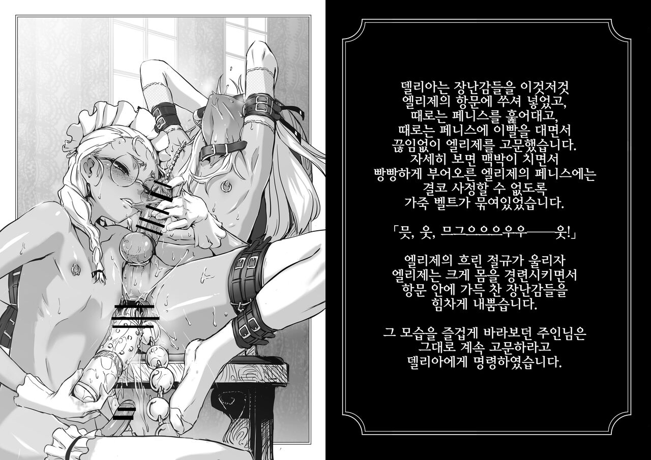 Shounen Ehon "Delia to Elise" page 4 full