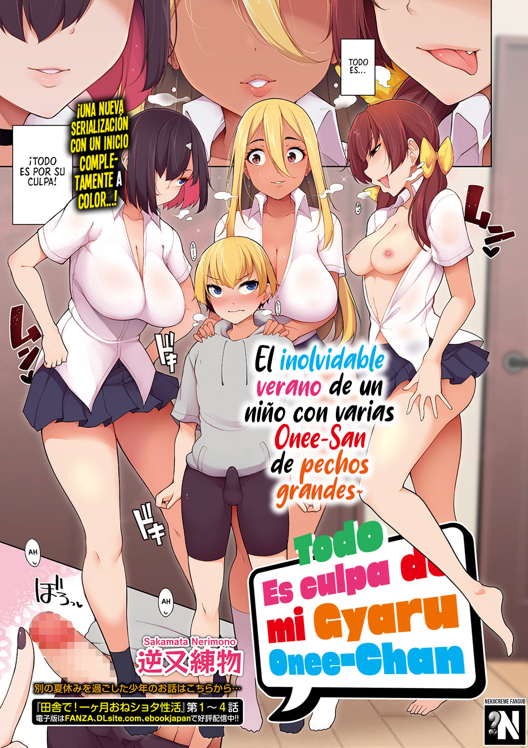 Zenbu Gal na Nee-chan no Sei _ Todo es culpa de mi Gyaru Onee-chan page 1 full