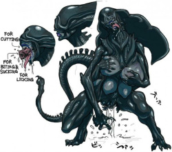 Alien Vs Predator Human Porn Comics - Parody: alien vs predator - Hentai Manga, Doujinshi & Porn Comics
